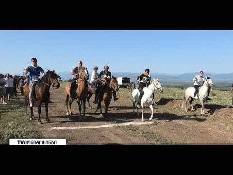 საცხენოსნო დოღი გორის მუნიციპალიტეტში - გამარჯვებულები ოთხ კატეგორიაში გამოვლინდნენ 28.06.2021