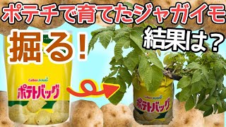 文野環の配信のサムネイル画像