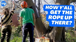 How to get a ROPE high in a TREE, pro arborist explains that common question