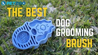 How to De-Shed your Dog FAST | KONG ZoomGroom Dog Grooming Rubber Brush