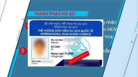 Cấp đổi thẻ hướng dẫn viên du lịch quốc tế, thẻ hướng dẫn viên du lịch nội địa.