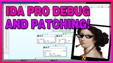 IDA Pro Debugging and Patching | CrackingLessons CrackMe#1
