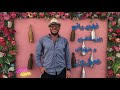 عيش و فكك أنس سليم 