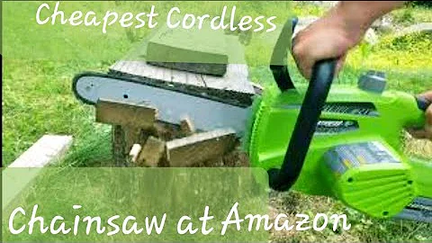 Testing the Cheapest Cordless Chainsaw on Amazon.. How did it Do ?? Earthrise Electric Chainsaw
