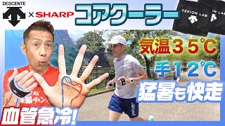 競歩日本代表も手のひらを冷やしていた【デサント×シャープ】カラダの深部を冷やす！ コアクーラーをレビュー！