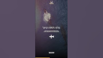 Surah Hud Verse 6 | سورة هود الآية 6 | Abdun Nasir Khan