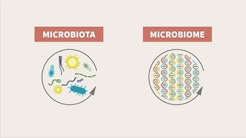 What is microbial ecology?