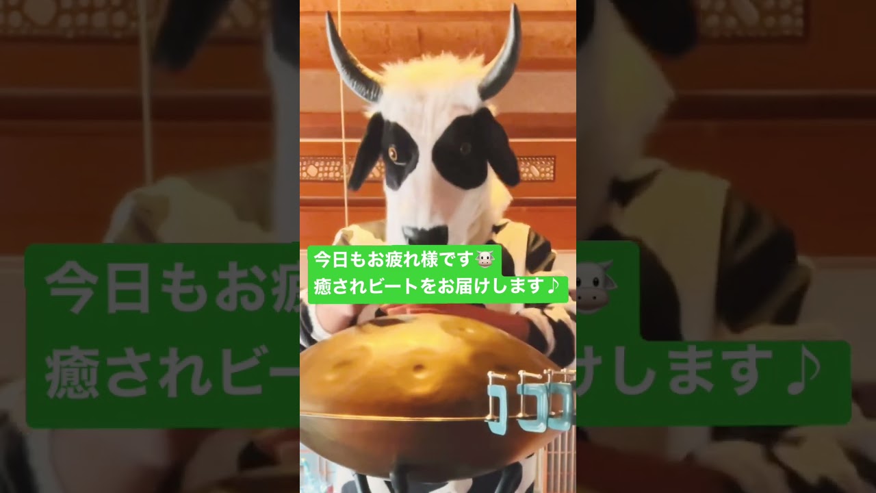 今日もお疲れ様です🐮自作ハンドパンで癒されビートをお届けします♪
