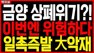 [금양 주가전망] 드림팩토리2 문제가 아니다! 단체소송 법적문제 발생 일보직전! 해결불가 시 계획불발, 즉시상폐! 역대급 최악의 상황 난리났다!💥금양 전망, 상장폐지, 거래정지