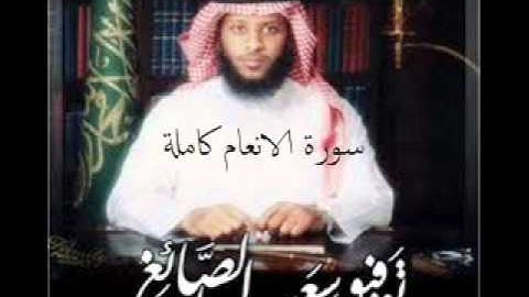 سورة الانعام للقارئ  توفيق الصائغ