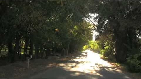 Mastercard DCC Commercial