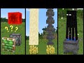 Things in Minecraft that make NO sense!