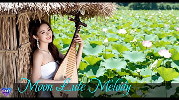 Giai Điệu Đàn Nguyệt – Mộc Mạc & Trữ Tình | Vietnamese Moon Lute Music