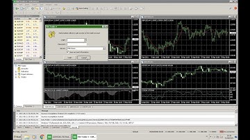 Cara install MT4 lebih dari 1 di PC atau VPS.