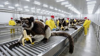 Een kijkje in de Indri-fabriek: van huiden en botten tot luxe instrumenten (het volledige proces)