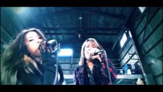 Download lagu The new old world／the MARCY BAND