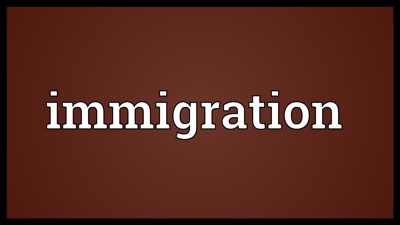 Immigration Meaning