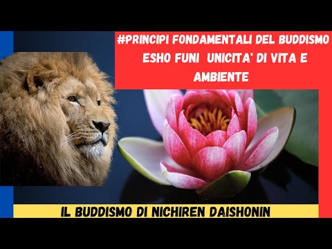 Video: Principio e valori della vita. Principi di vita umana