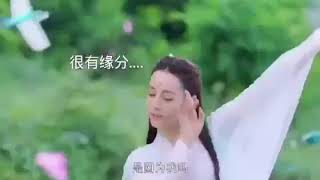 Vengo Gao 高伟光 迪丽热巴 #三生三世枕上书 Eternal Love Of Dream 帝君 凤九 (Cut)