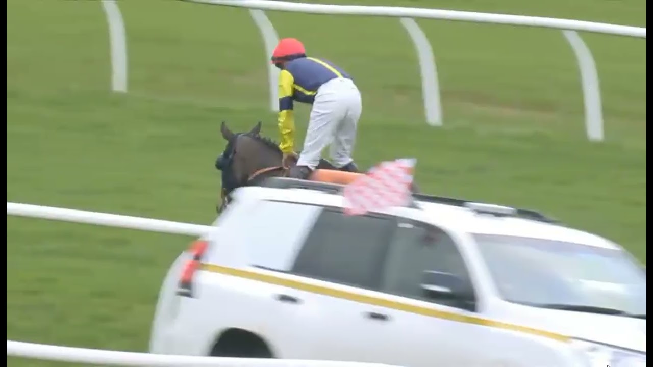 R5   Bangor-On-Dee   UK 25 Feb 2026