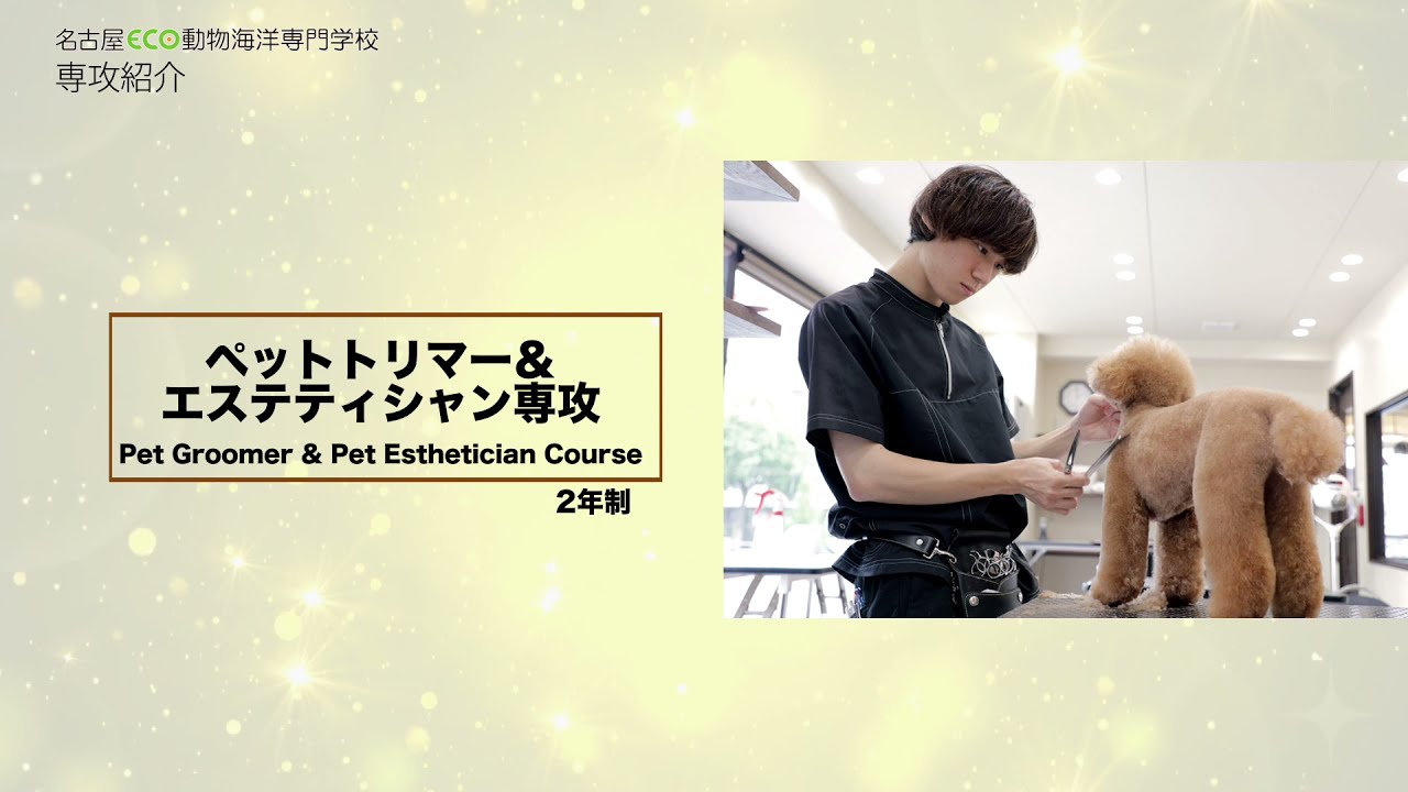 ペットトリマー エステティシャン専攻 名古屋eco動物海洋専門学校