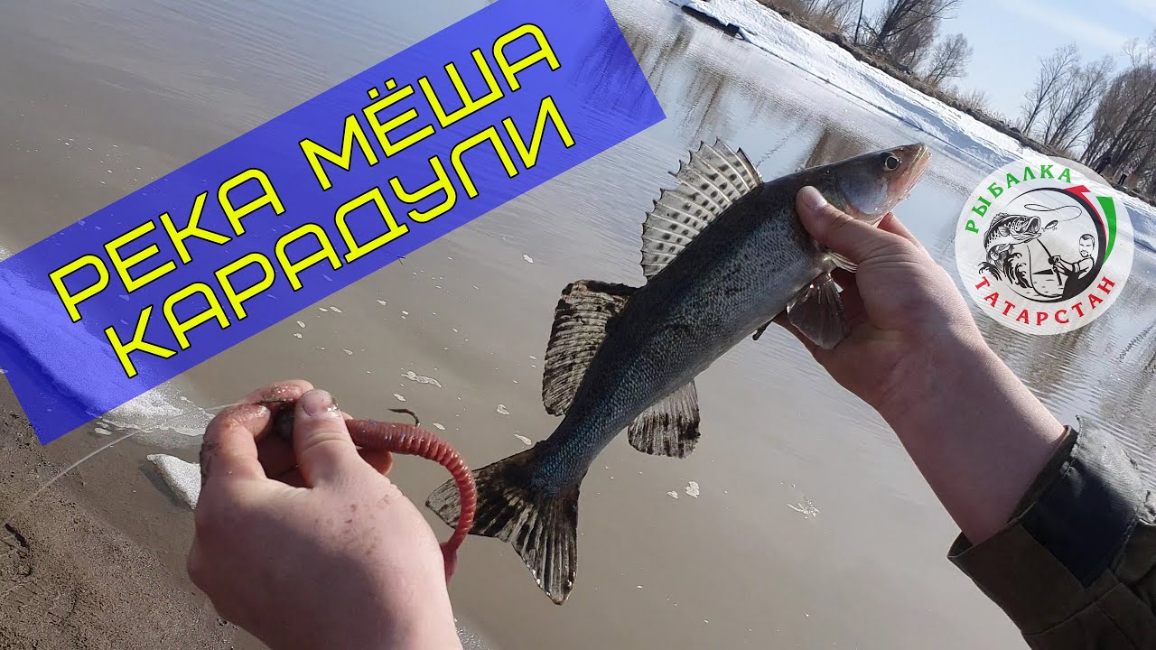 Рыбалка на реке Меша, Карадули 11.04.2022г