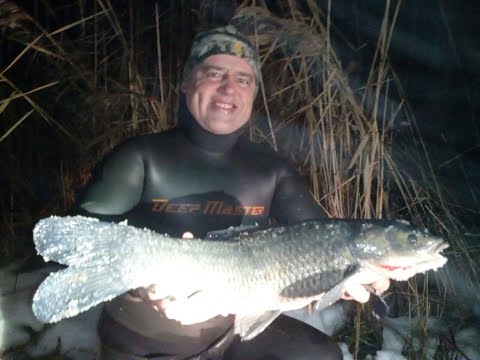 УРОКИ ПОДВОДНОЙ ОХОТЫ