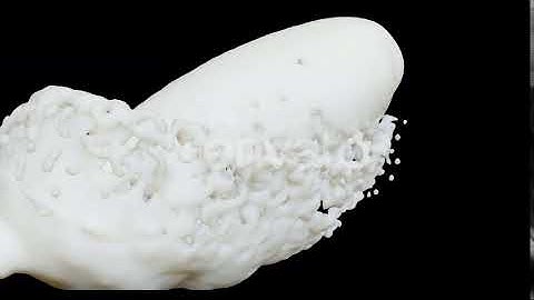 Milk Splash on Black Background | Motion Graphics - Videohive template