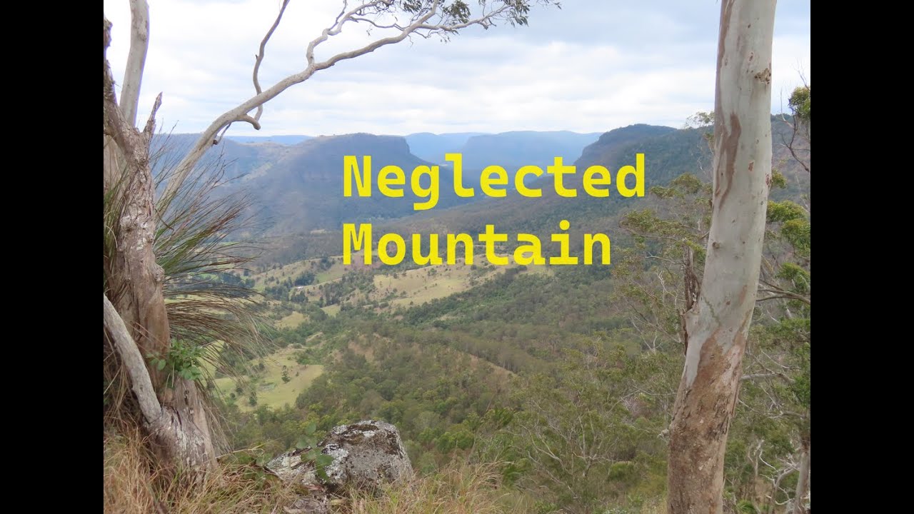 Neglected Mountain, QLD