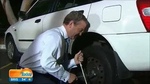 The Fixer: Christopher Pyne changes Sylvia Jeffrey...