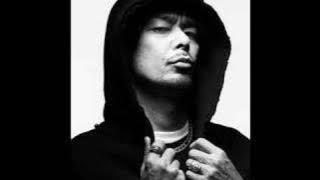DJ Krush - Meiso (feat. The Roots) REMIX by DJ Shadow