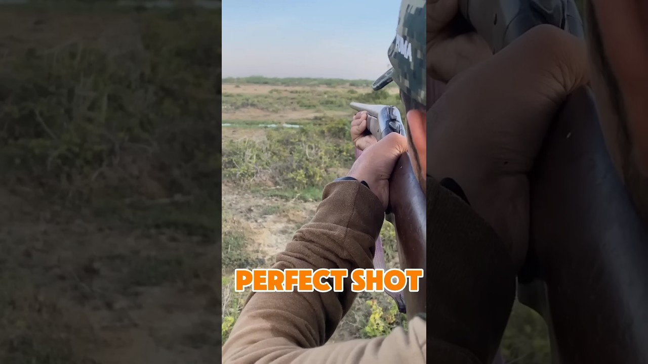 12 Gauge Shotgun bird Hunting 