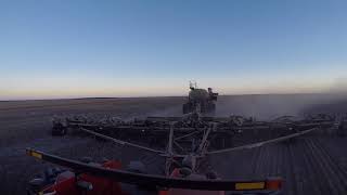 Seeding 2018, Esperance.