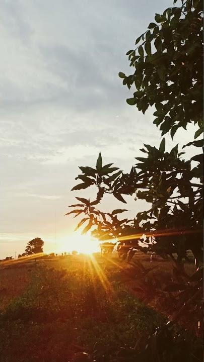 Bukti, Virgoun #bukti #virgoun #lastchild #shorts #trending #nagitamelahirkan #asn #pns #hisana #fyp