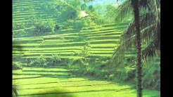 The Balinese traditional Bambu & flute Music.  - Durasi: 4:16. 