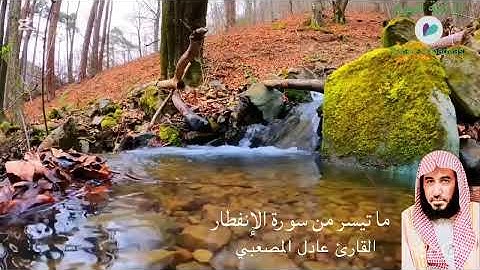 ما تيسر من سورة الإنفطار القارئ عادل حسين المصعبي