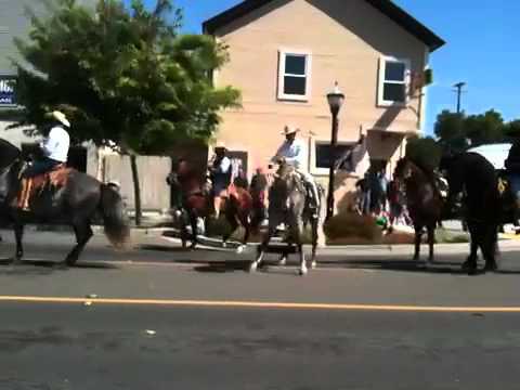 Elk Grove Western Festival 2011