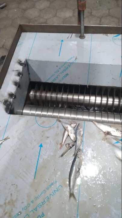 mesin rucah atau mesin potong ikan