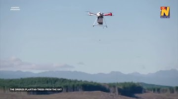 The drones planting trees from the sky