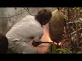 Smoking Out a Wasp Nest for Larvae | Ray Mears Extreme Survival | BBC Studios