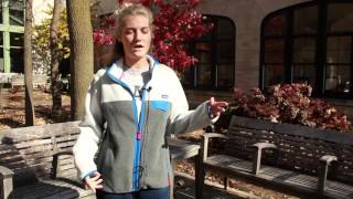 Iub Gen Ed - Arts And Humanities