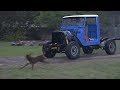 Milo 2  - Hot Rodding In The Yard - Rooth Bushmechanics - 12HT - 4WD