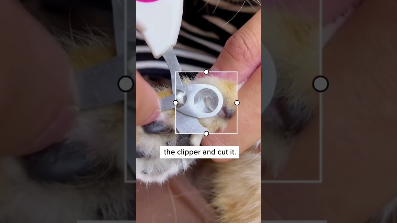 Trimming nails has been easier! 