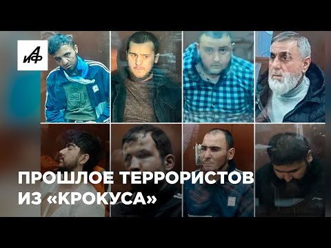 ММА, такси и воровство. Раскрыто прошлое исполнителей теракта в «Крокусе»