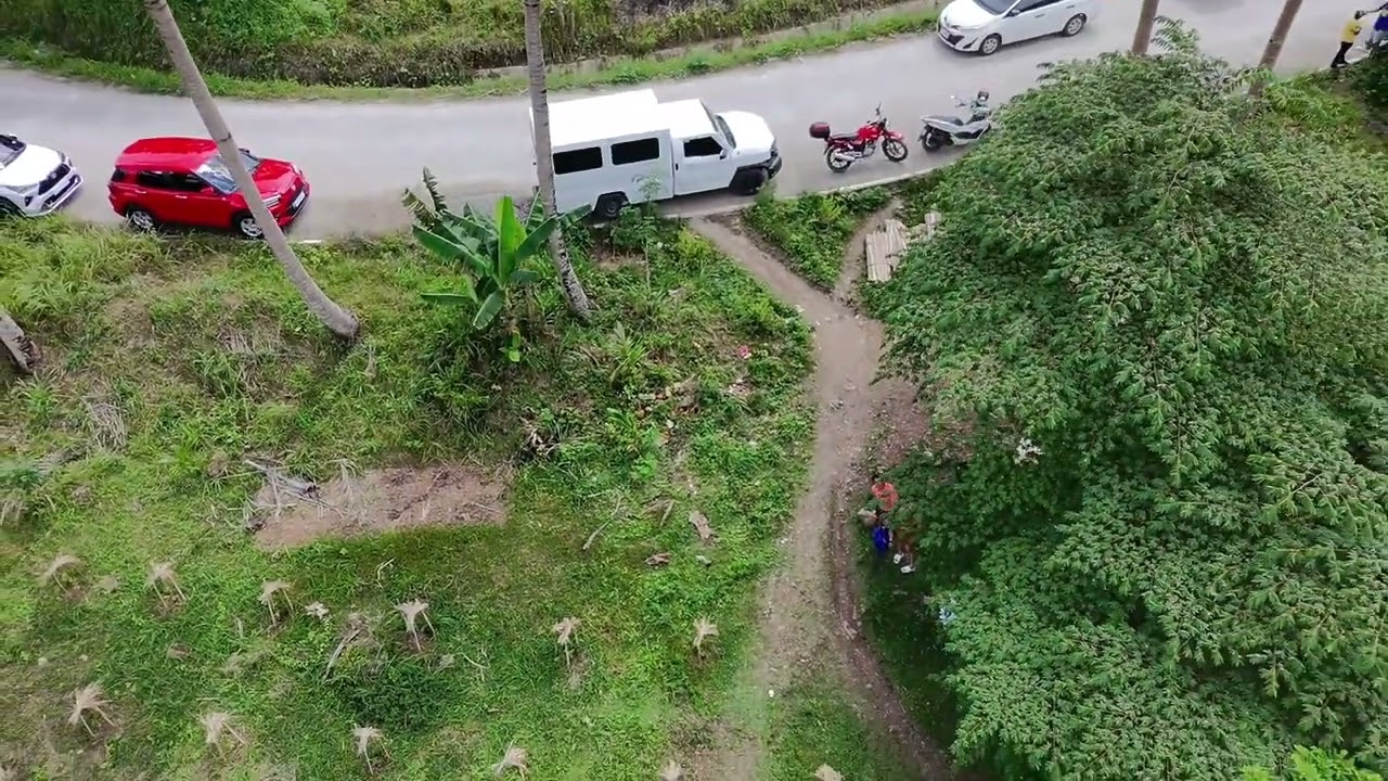 Agarwood Farm in Carcar Cebu 