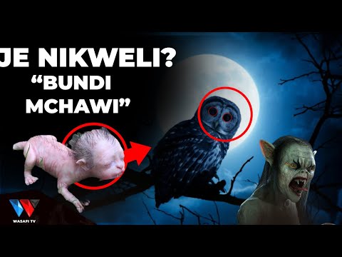 Video: Je, mwewe wanaogopa bundi?