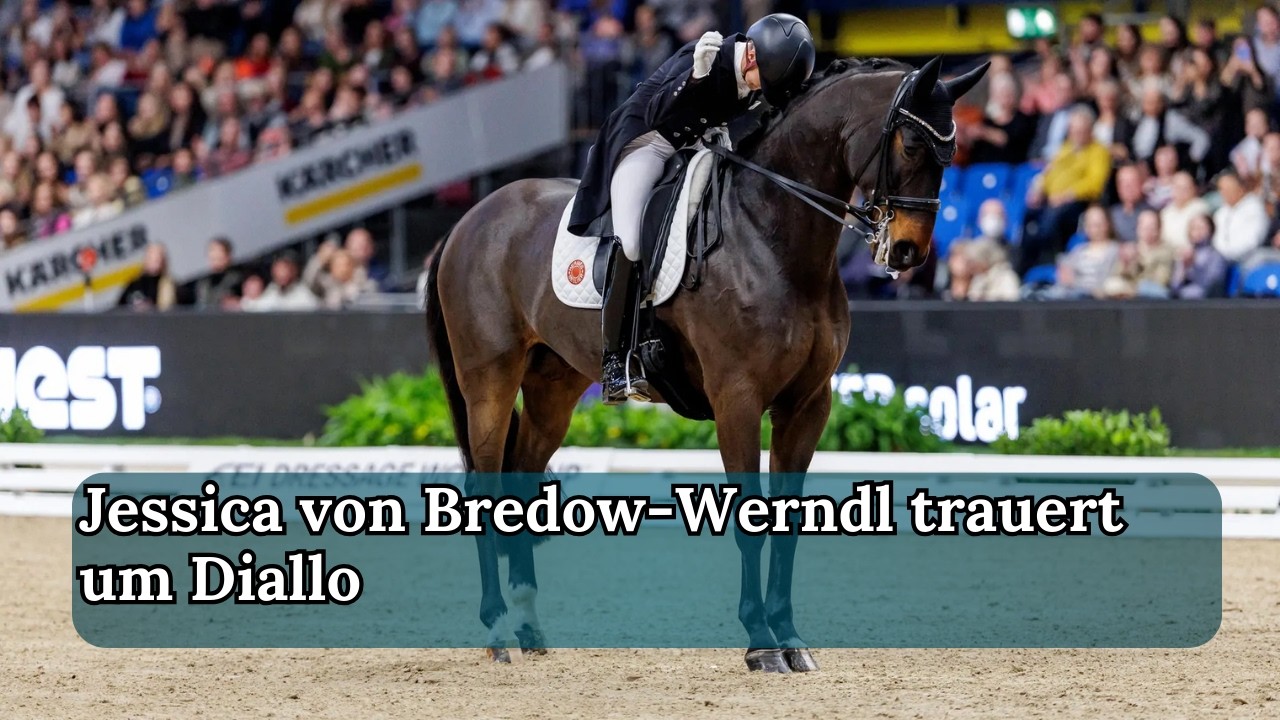 Wie kam es zum plötzlichen Tod von Diallo? | TRD Podcast | Episode 486