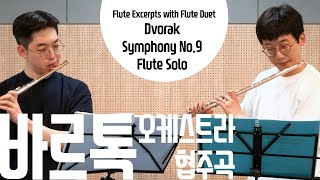 Full Bartok- Concerto for Orchestra | Flute Excerpts Cycle | 오케액섭 정주행 17 Update