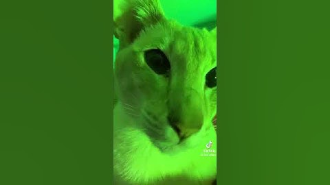 random things in my camera roll: part 10 #memes #randomstuff #funny