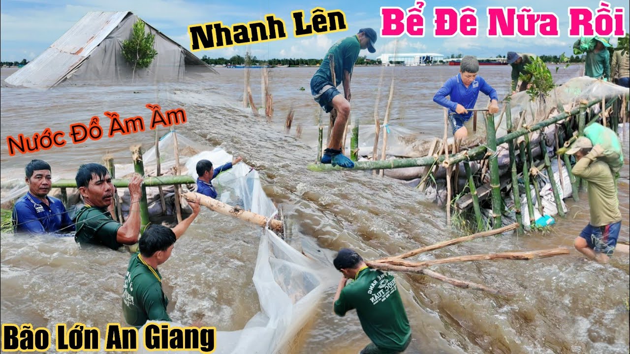 Ужасно, всю ночь лил дождь, наводнение переполнило плотину, так что задыхаясь, вид на Анзянга, уп...